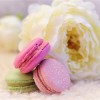 french macaron pics (12)