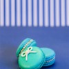 french macaron pics (16)
