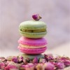 french macaron pics (8)