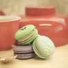macarons 2014 (8)