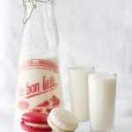macaroon-002